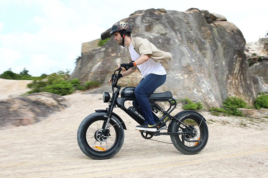 Dual Motor Electric Bike 